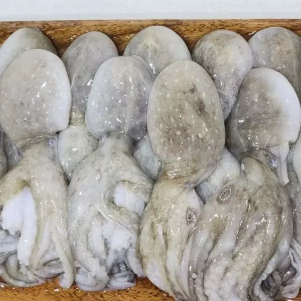 국내산 활 쭈꾸미 1kg