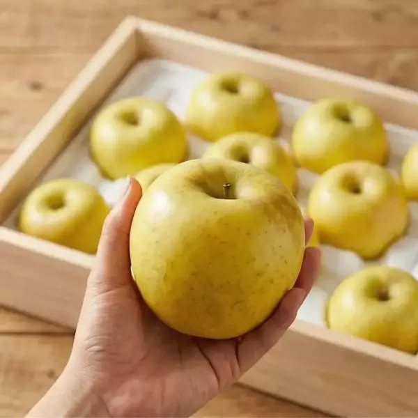 韩国产苹果 信浓金 3kg
