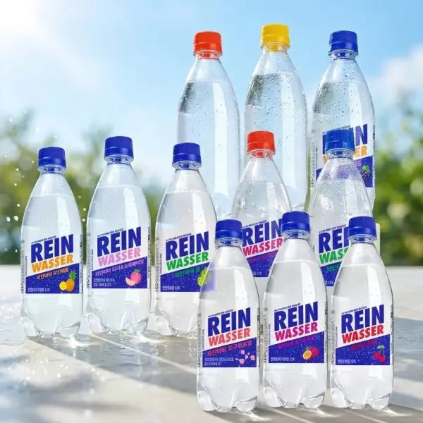 라인바싸 500ml PET 2박스 5종선택
