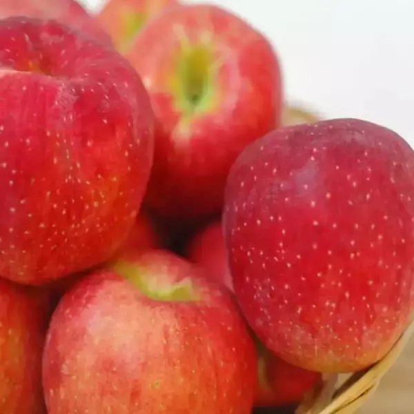 红露苹果 中大果 4kg