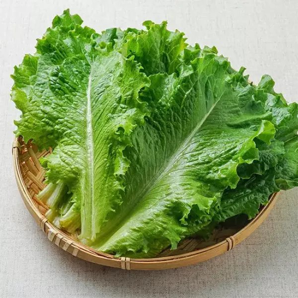 Romaine Green Lettuce 1kg