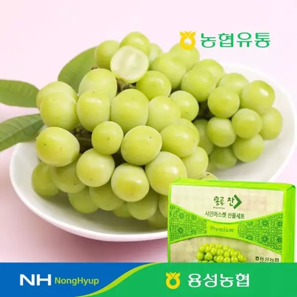 용성농협 샤인머스켓 정품 2kg 2~3수
