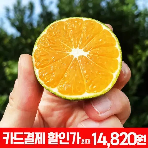 12브릭스 고당도 스위트 유라 실생 감귤 로얄과 4kg