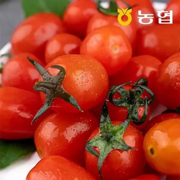 대추방울토마토 로얄과(1-3번) 2kg