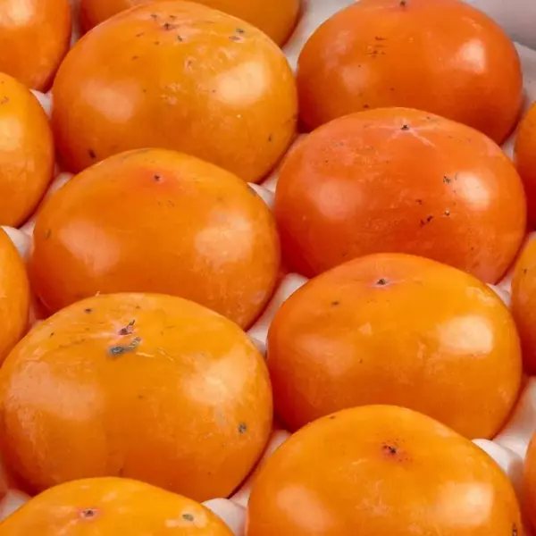 清道 半柿(パンシ) 2.5kg 中大サイズ