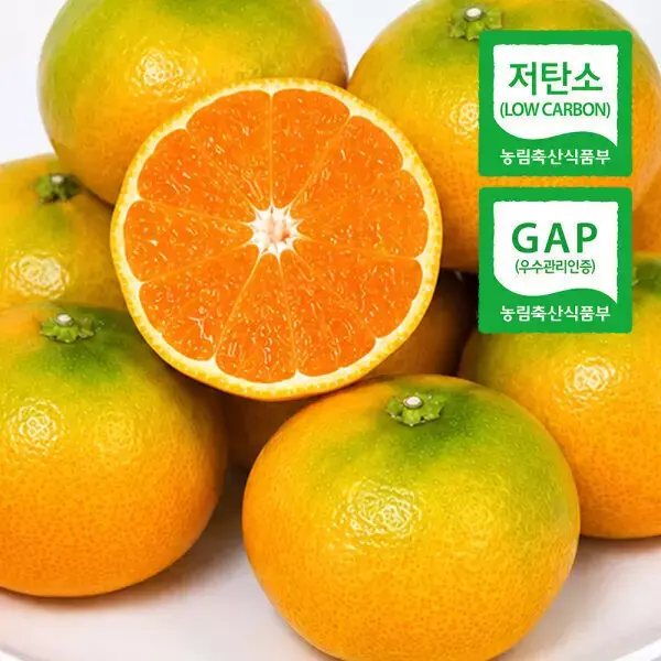 제주귤 실중량 4.5kg 로얄과