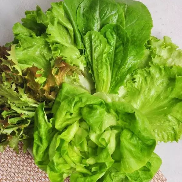 (농할30%) 샐러드 쌈채소 1kg 3~5종 랜덤