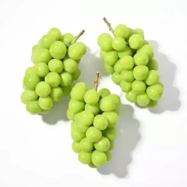 샤인머스켓 2kg 평균 18브릭스
