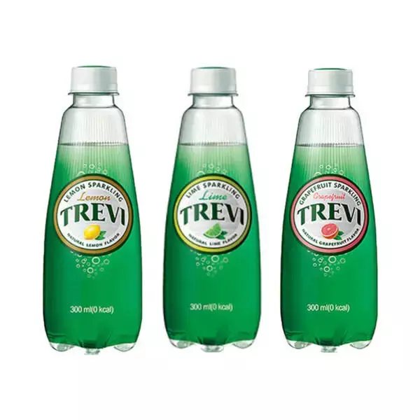 トレビ レモン 300ml 20本+ライム 20本+グレープフルーツ 20本