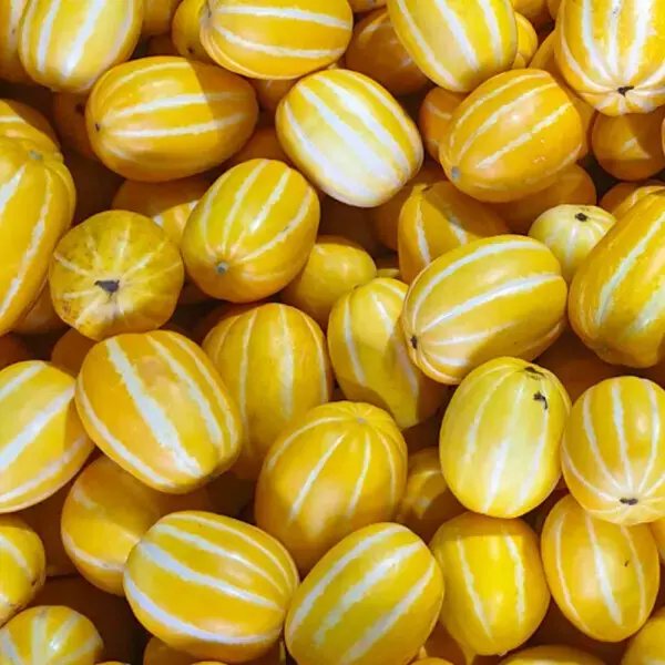 Ugly Korean Melons, Net Weight 9kg