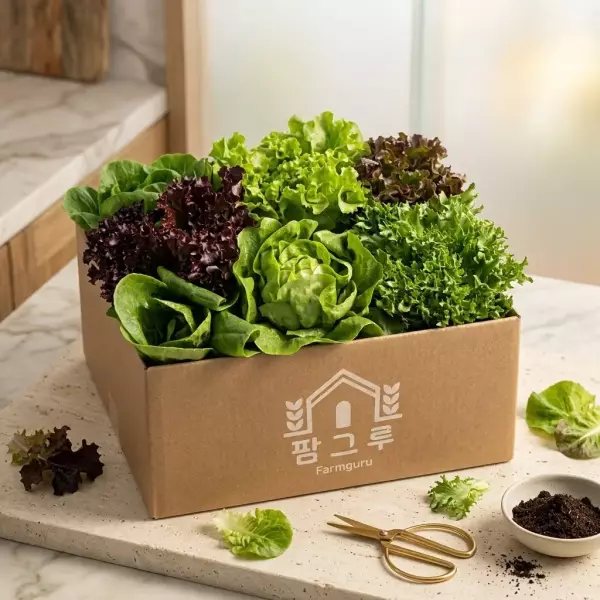 유러피안 샐러드 채소 모듬 쌈채소 1kg