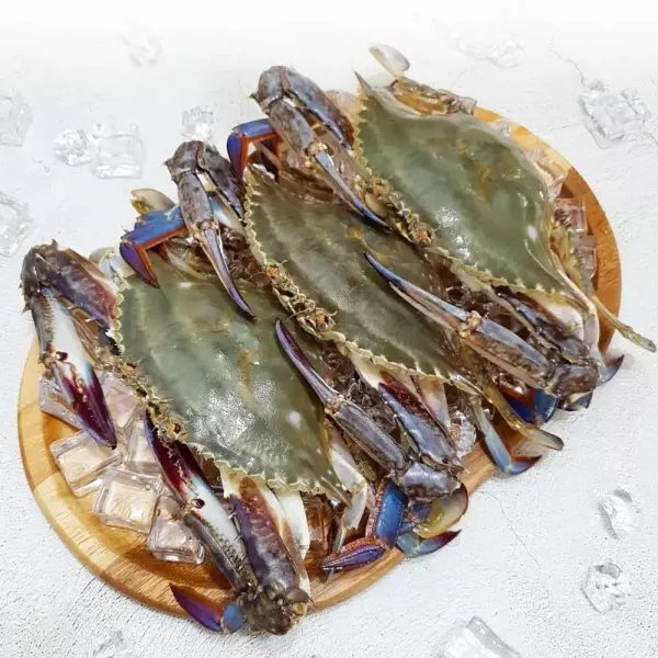 국내산 제철 생물꽃게 2kg
