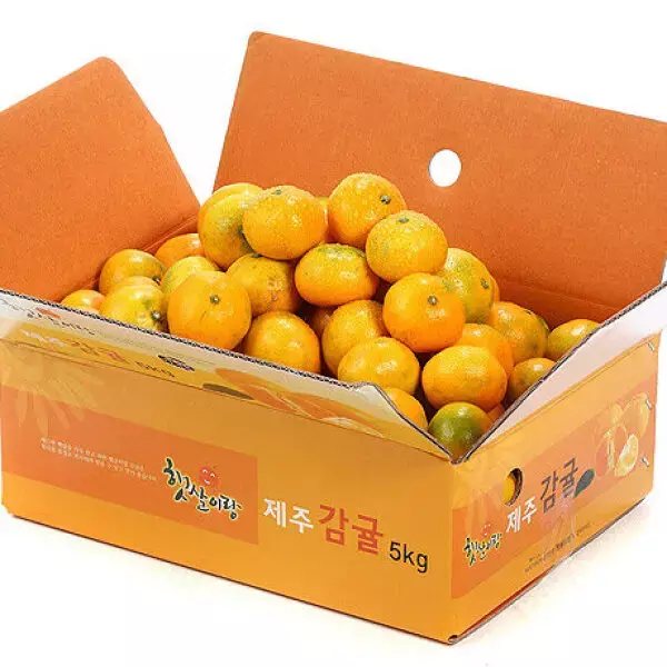 제주 달콤 노지감귤 로얄과 4.5kg