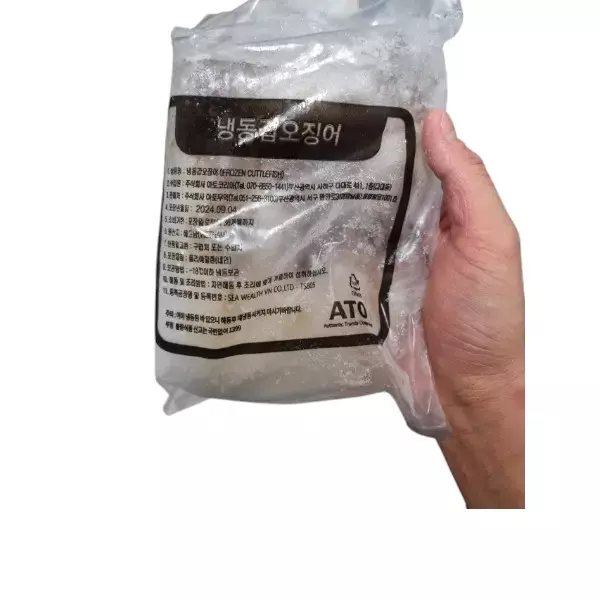 国産 生ヨーロッパコウイカ 2kg