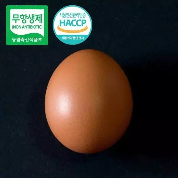 무항생제 난각번호2번 유정란 구운계란 60구
